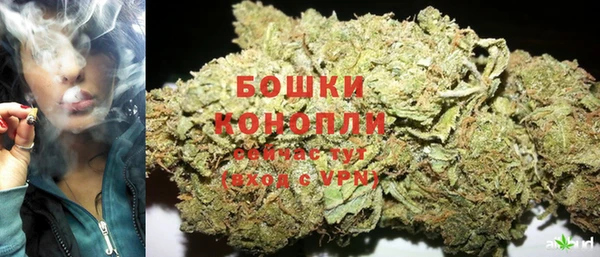 таблы Бородино