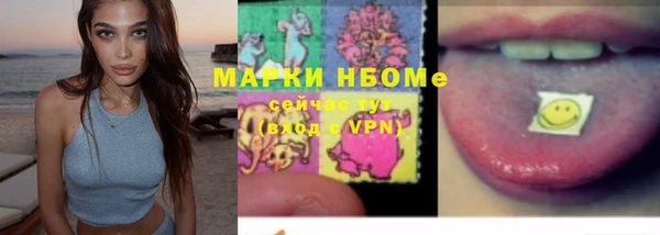 таблы Бородино
