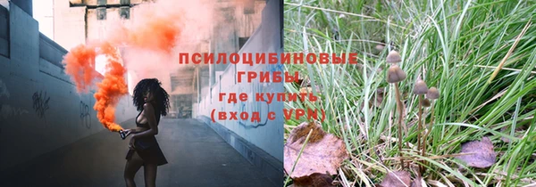 таблы Бородино