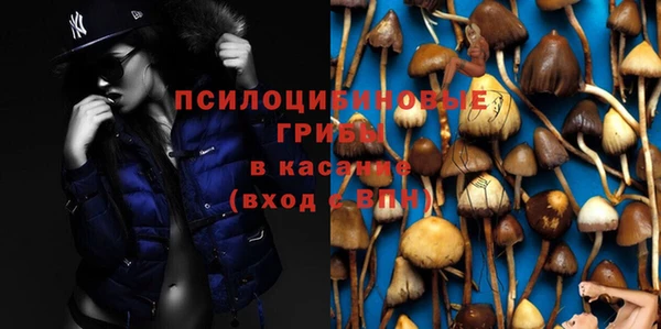 таблы Бородино