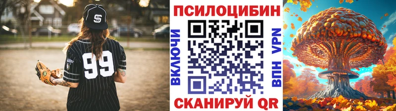цены   darknet какой сайт  Псилоцибиновые грибы прущие грибы  Новохопёрск 